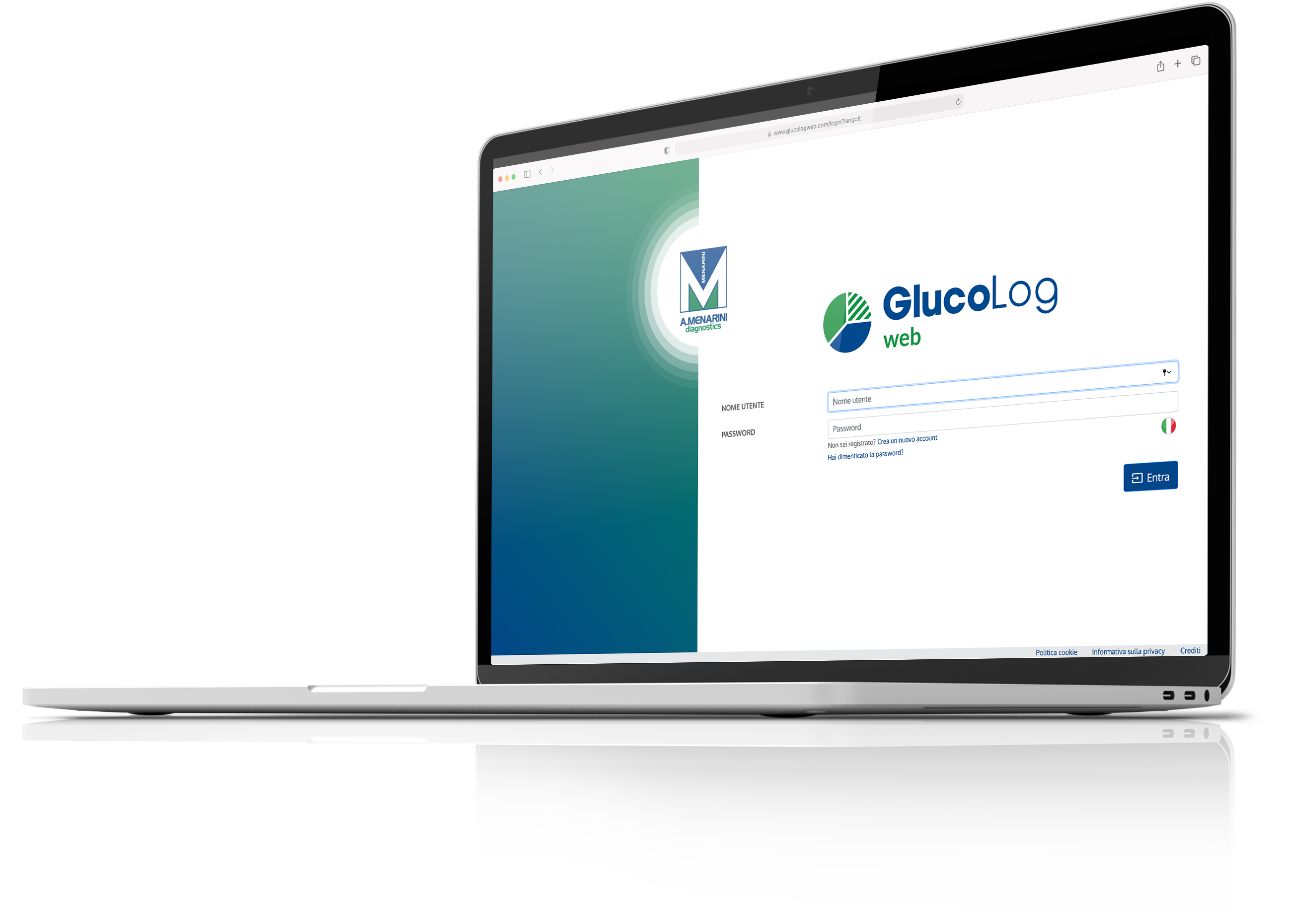 GlucoLog Web Laptop